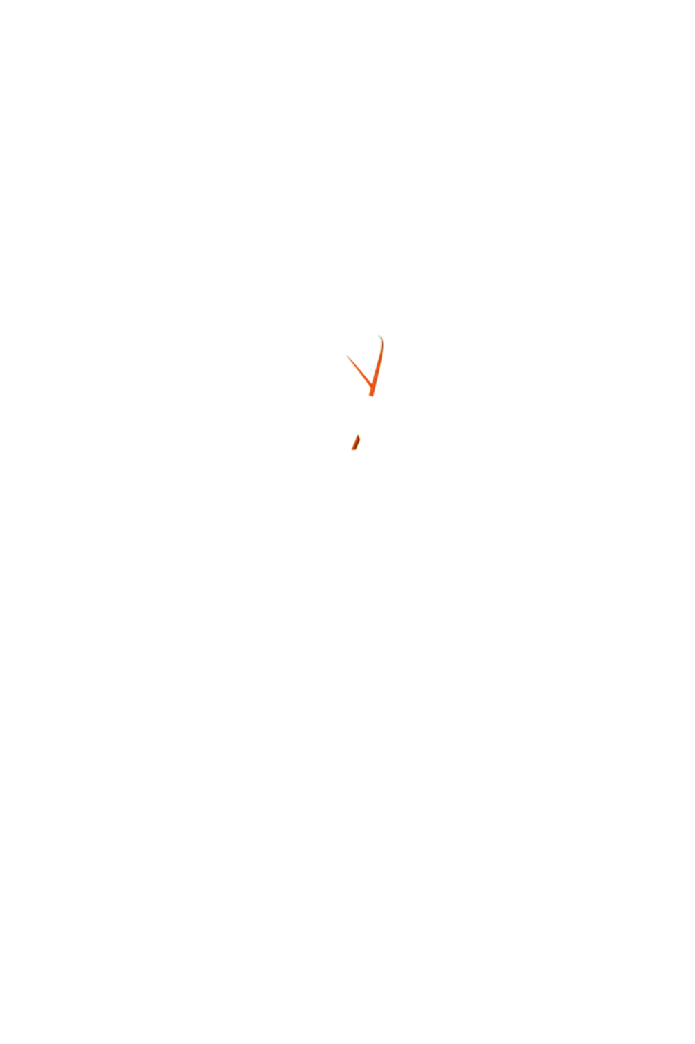 カラーコーディネートのパーツ画像