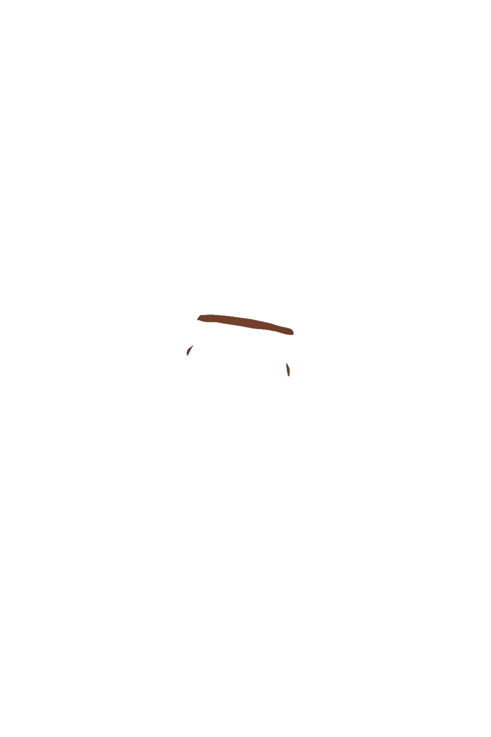 カラーコーディネートのパーツ画像