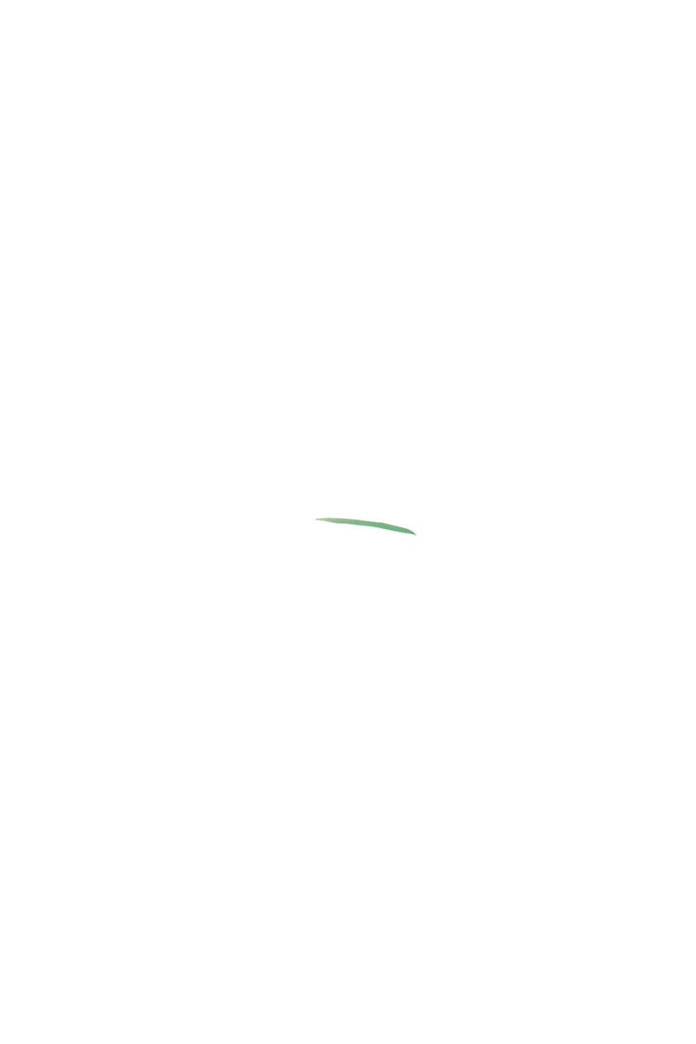 カラーコーディネートのパーツ画像