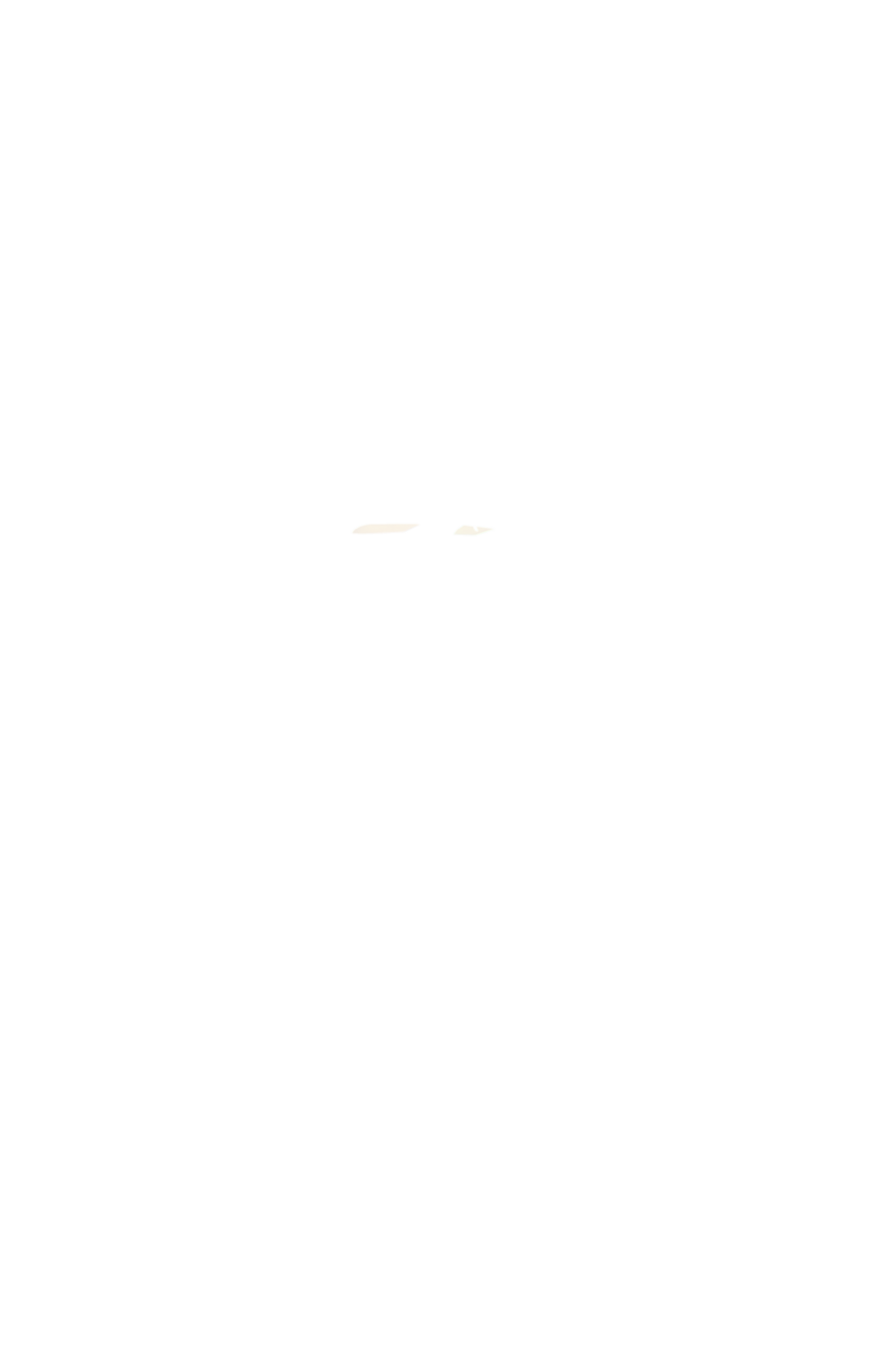 カラーコーディネートのパーツ画像
