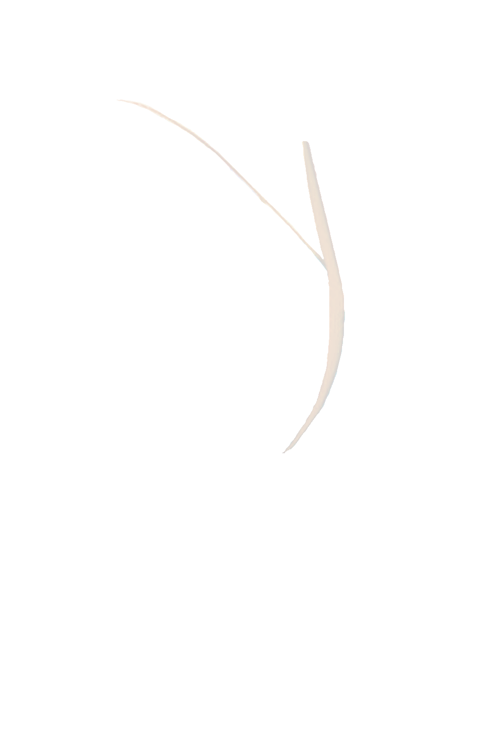 カラーコーディネートのパーツ画像