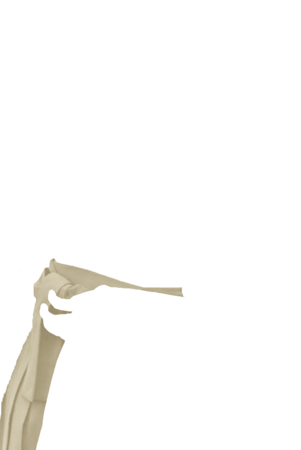カラーコーディネートのパーツ画像