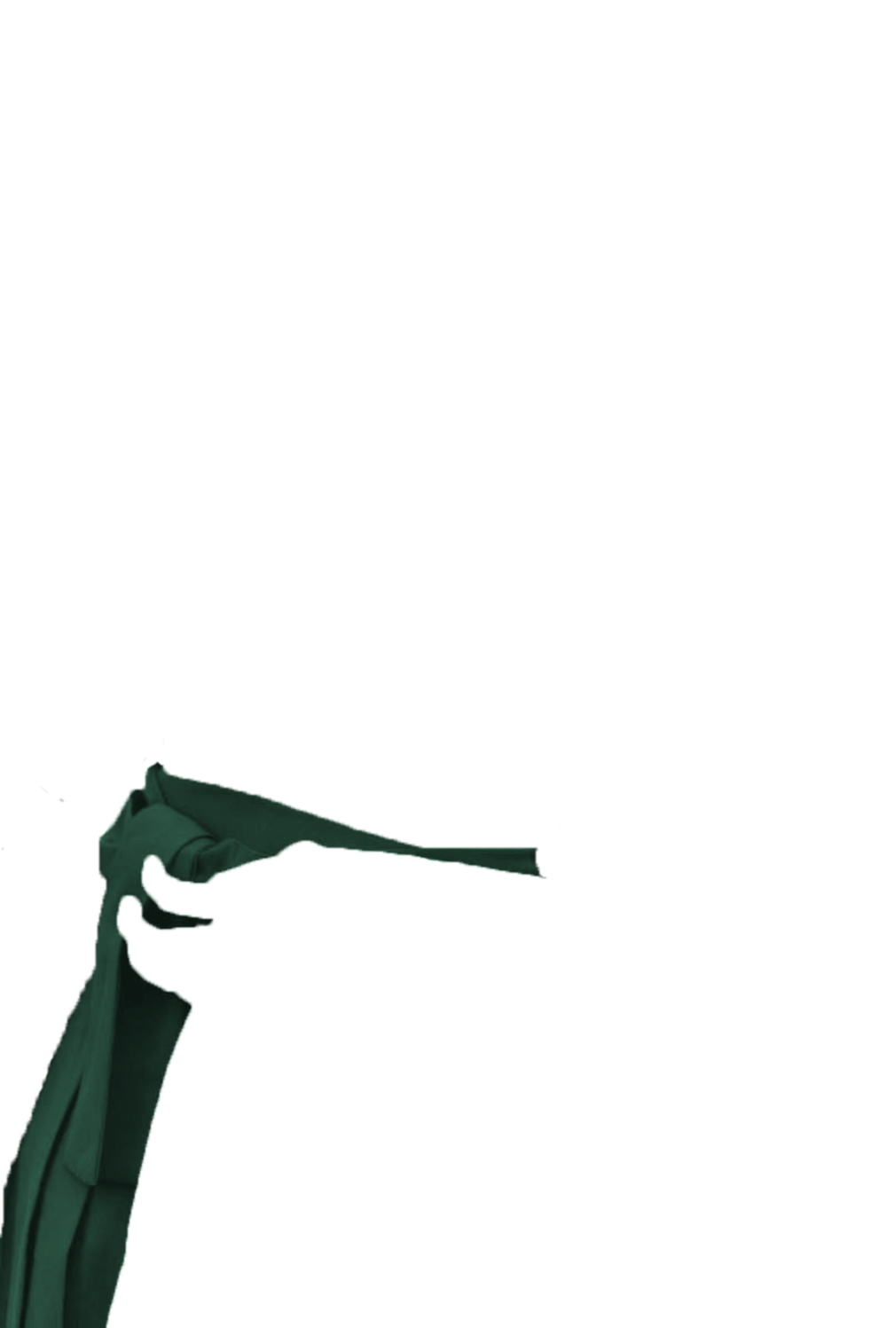 カラーコーディネートのパーツ画像