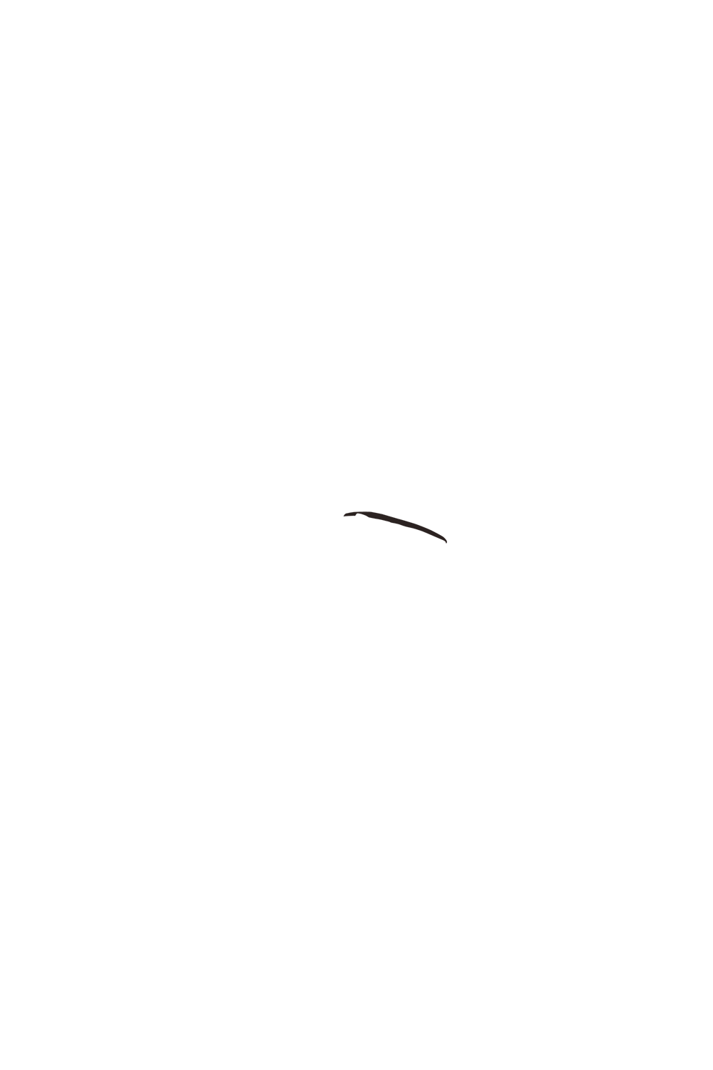 カラーコーディネートのパーツ画像