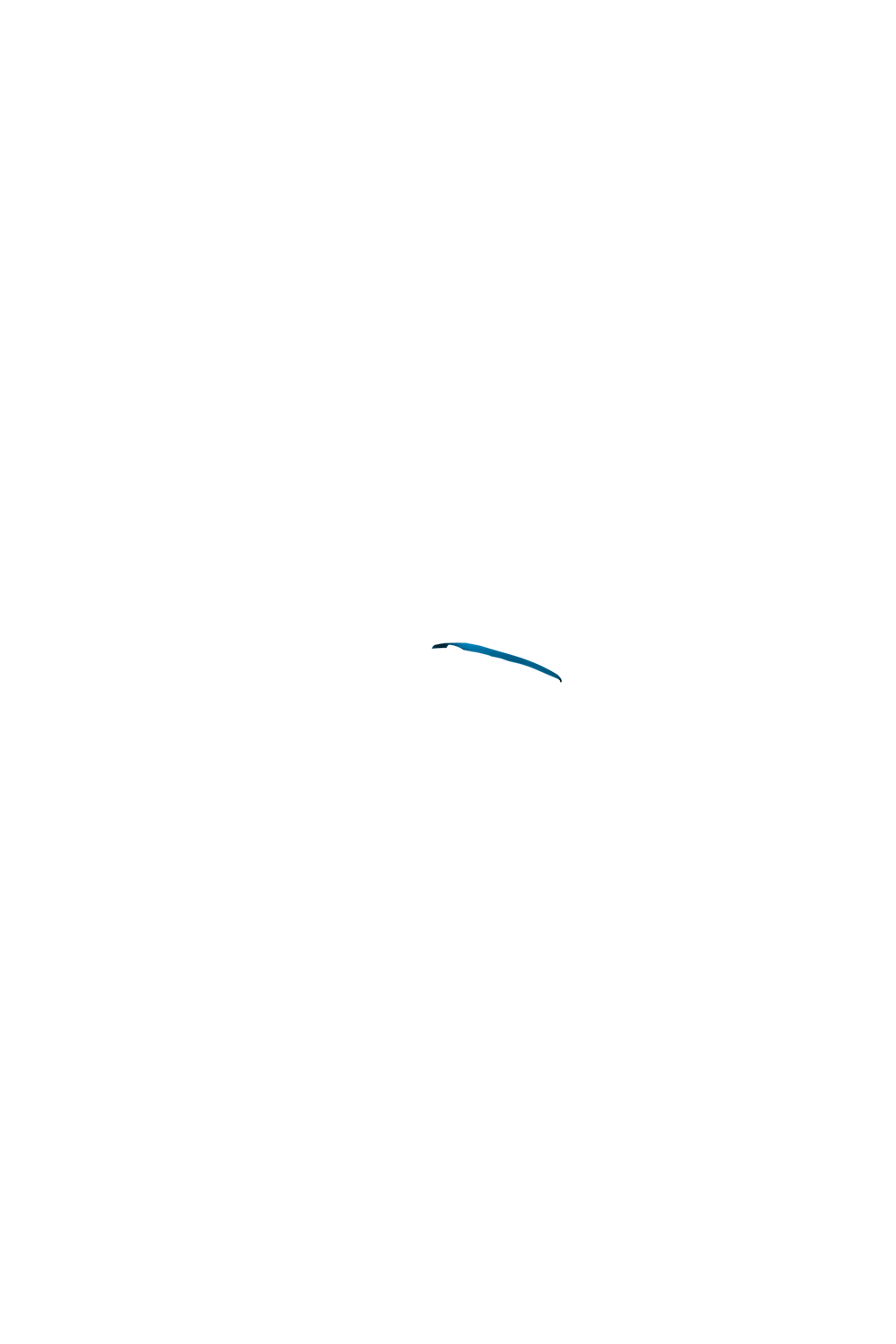 カラーコーディネートのパーツ画像