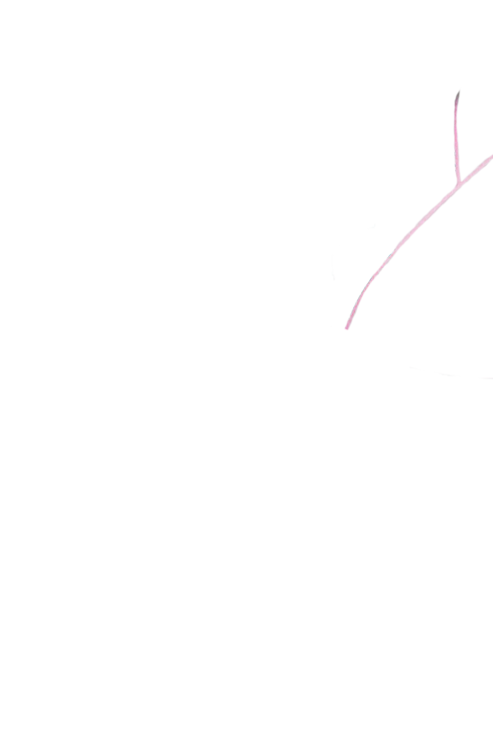 カラーコーディネートのパーツ画像