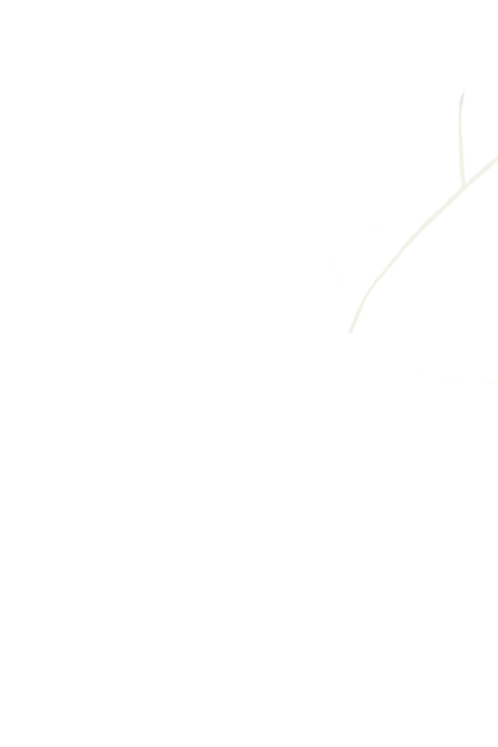 カラーコーディネートのパーツ画像