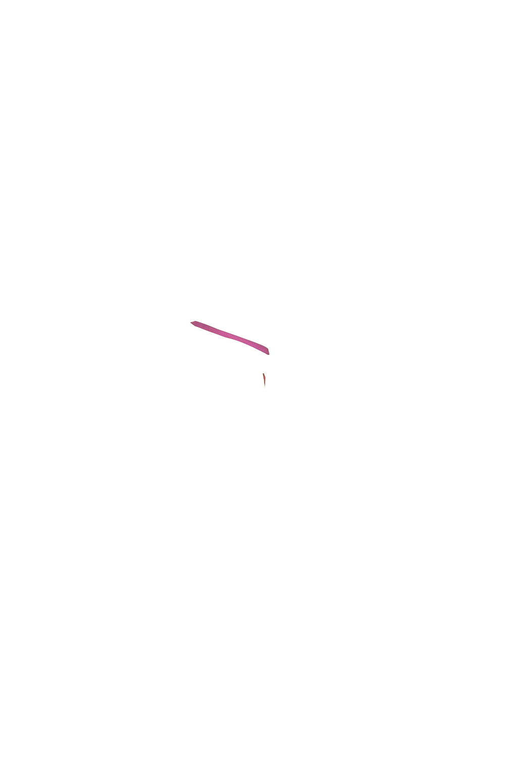 カラーコーディネートのパーツ画像