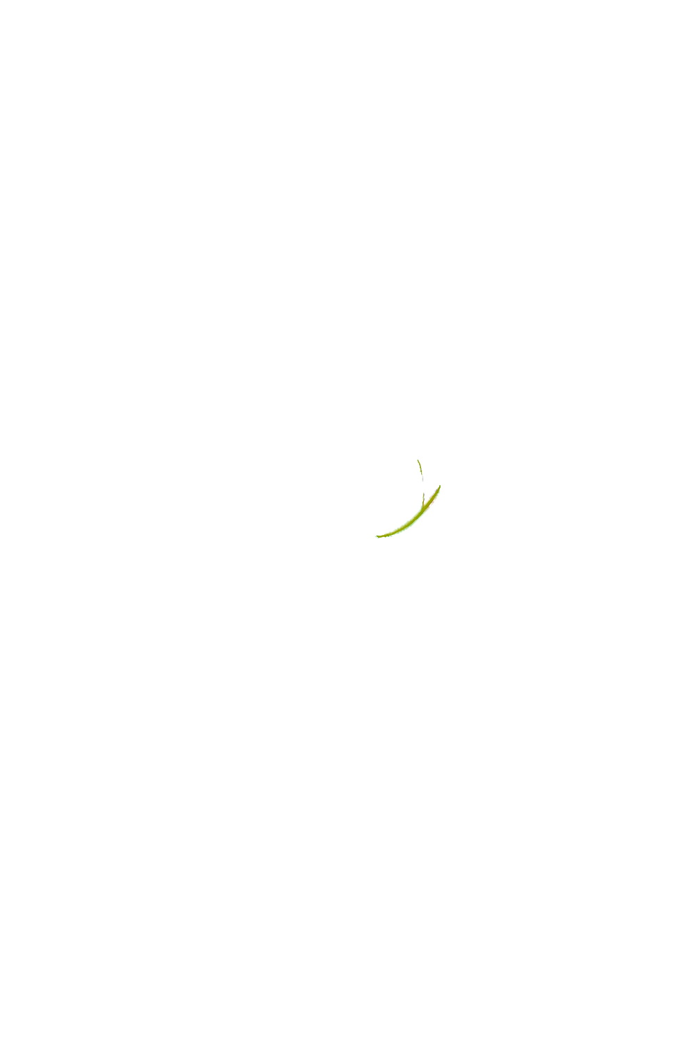 カラーコーディネートのパーツ画像