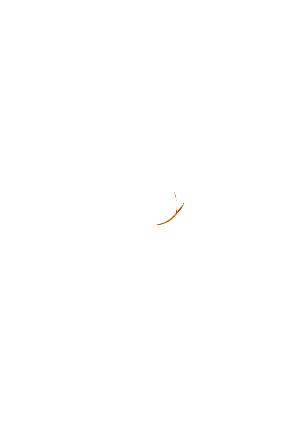 カラーコーディネートのパーツ画像