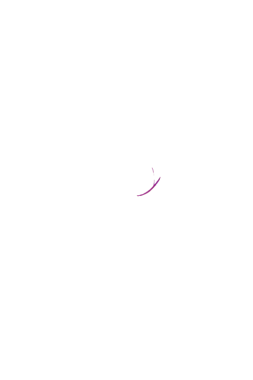カラーコーディネートのパーツ画像