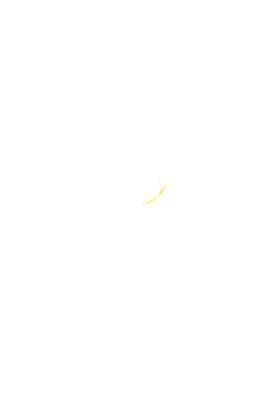カラーコーディネートのパーツ画像