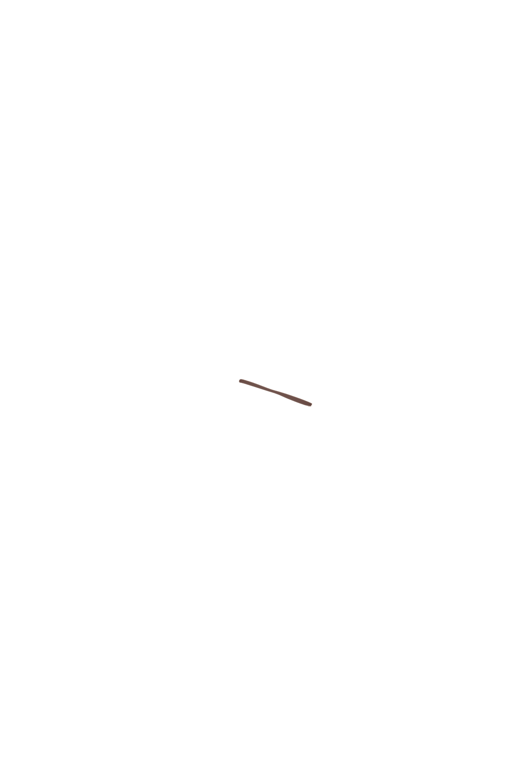 カラーコーディネートのパーツ画像