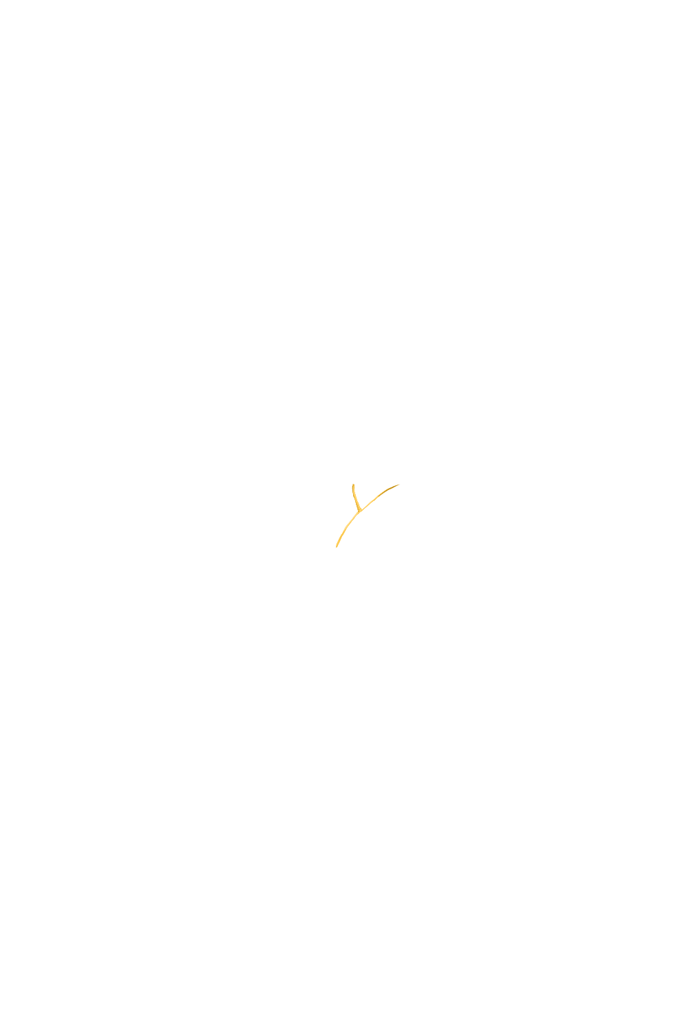 カラーコーディネートのパーツ画像