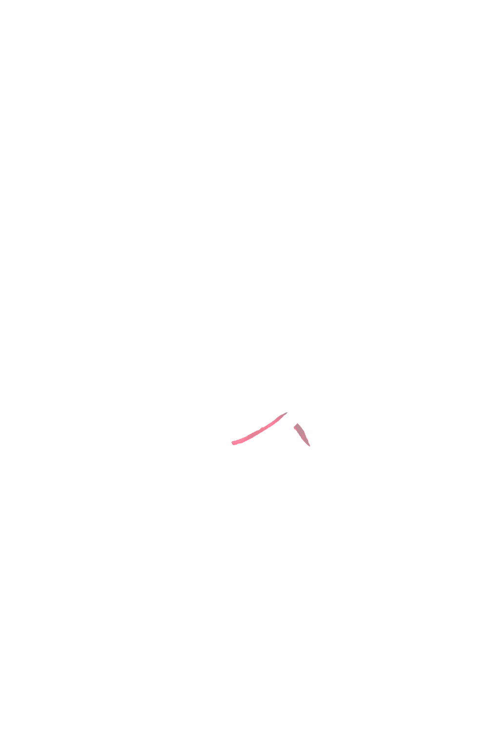カラーコーディネートのパーツ画像