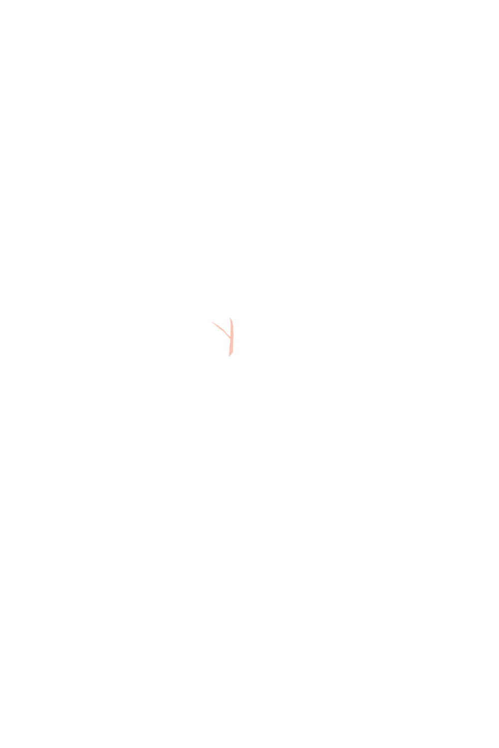 カラーコーディネートのパーツ画像